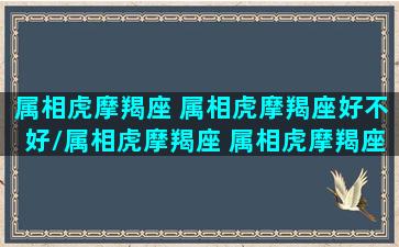 属相虎摩羯座 属相虎摩羯座好不好/属相虎摩羯座 属相虎摩羯座好不好-我的网站